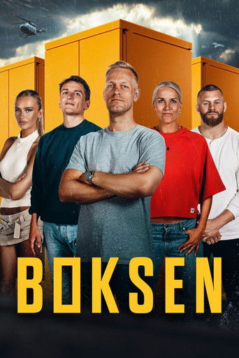 Póster de Boksen
