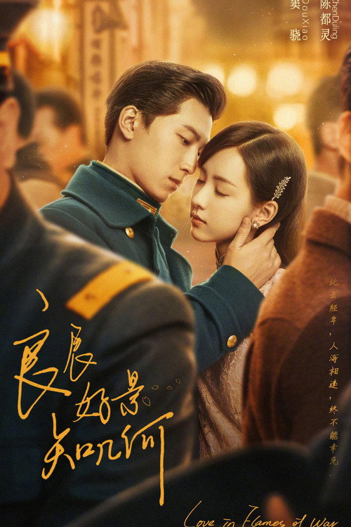 Póster de 良辰好景知几何