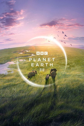Póster de 爱神迎光来