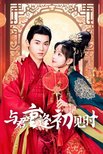 Póster de 与君重逢初见时