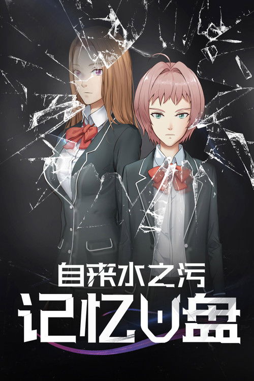 Póster de 记忆U盘