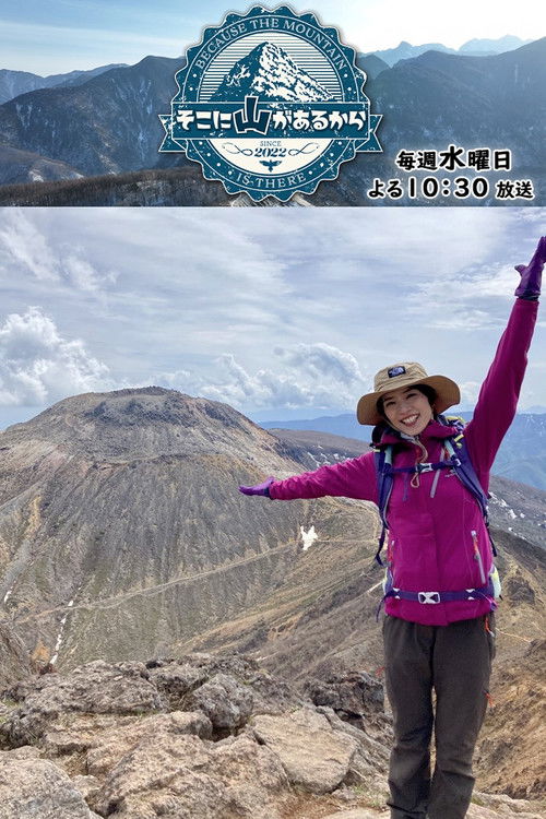Póster de そこに山があるから