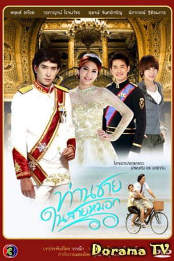 Póster de ท่านชายในสายหมอก