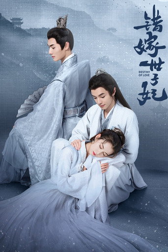 Póster de 错嫁世子妃