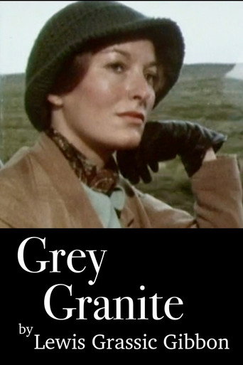 Póster de Grey Granite