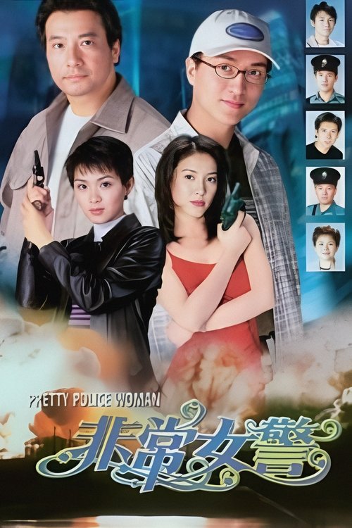 Póster de 非常女警