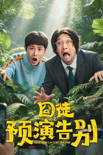 Póster de Lost in Road