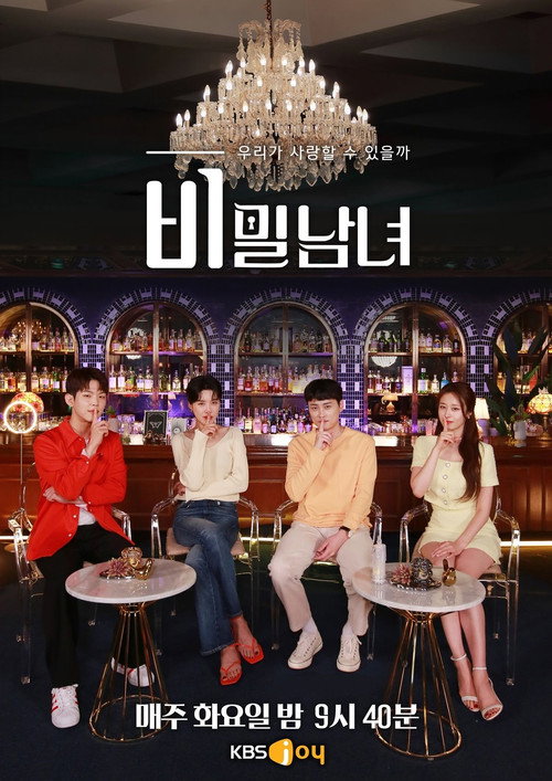 Póster de 비밀남녀