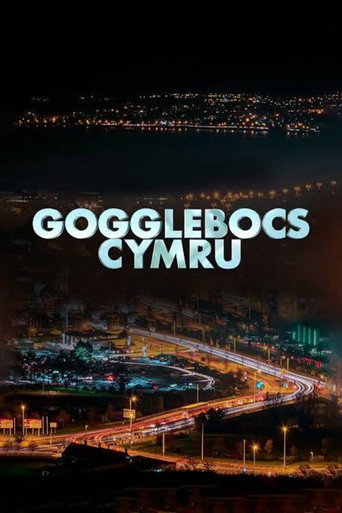 Póster de Gogglebocs Cymru
