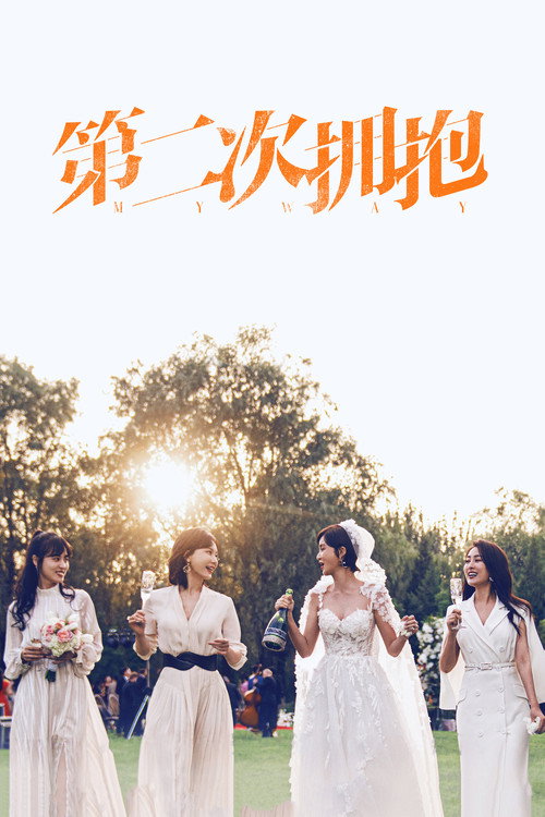 Póster de 第二次拥抱