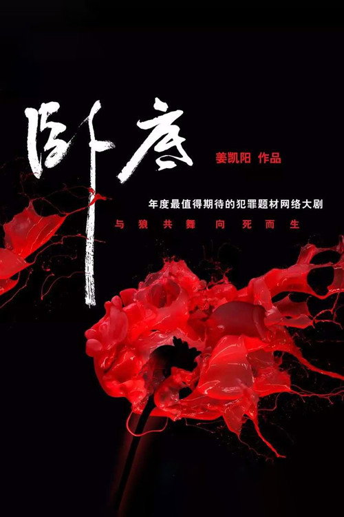 Póster de 卧底