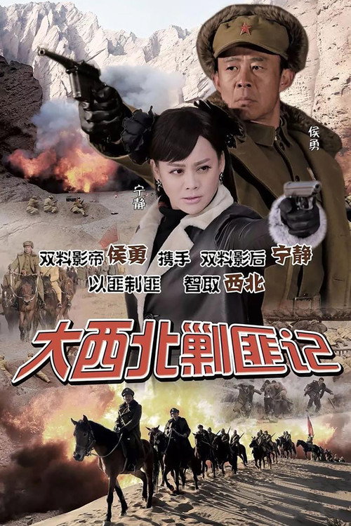 Póster de 大西北剿匪记