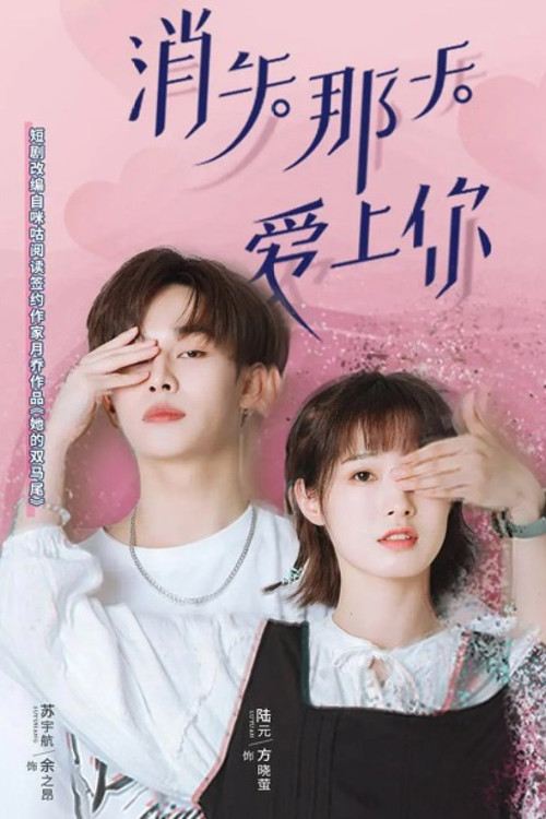 Póster de 消失那天爱上你