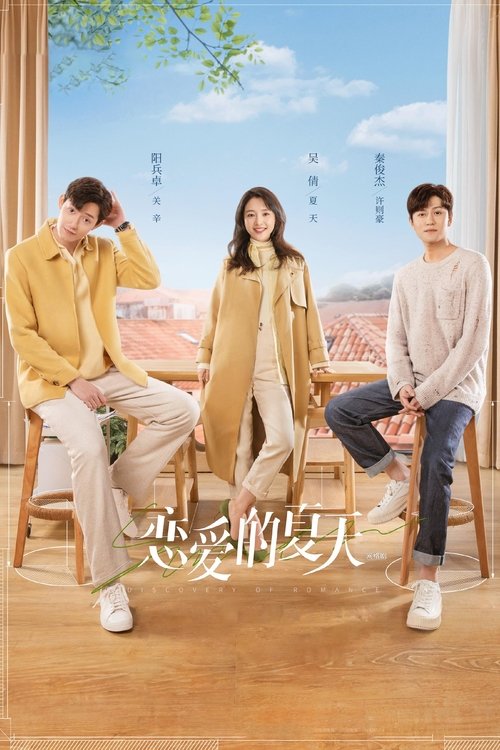 Póster de 恋爱的夏天