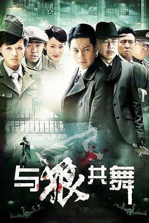 Póster de 与狼共舞