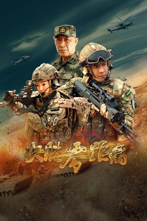 Póster de 决胜零距离