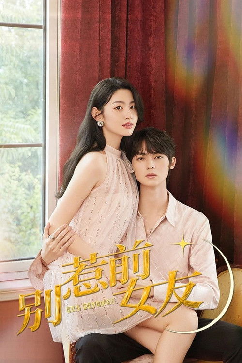 Póster de 别惹前女友
