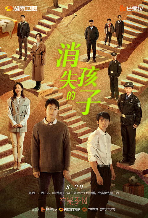 Póster de 消失的孩子