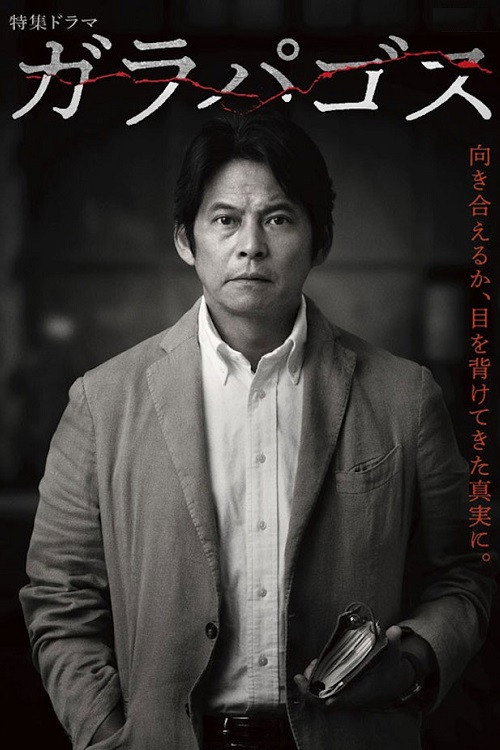 Póster de ガラパゴス