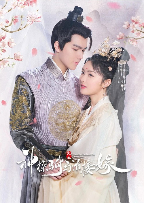 Póster de 神探驸马请接嫁