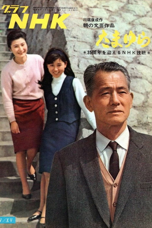 Póster de たまゆら
