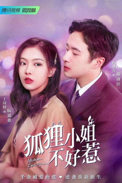 Póster de 狐狸小姐不好惹