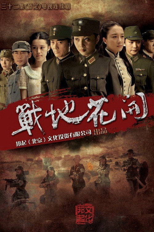 Póster de 战地花开