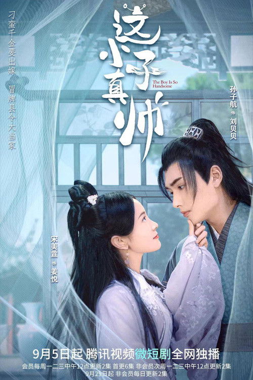 Póster de 这小子真帅