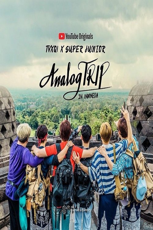 Póster de Analog Trip