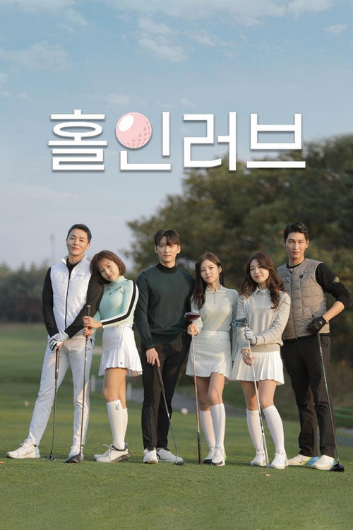 Póster de 홀인러브