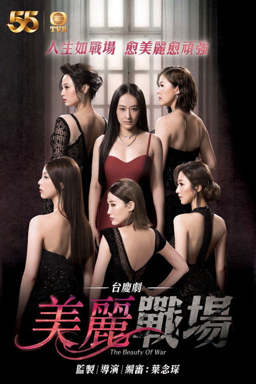 Póster de 美麗戰場