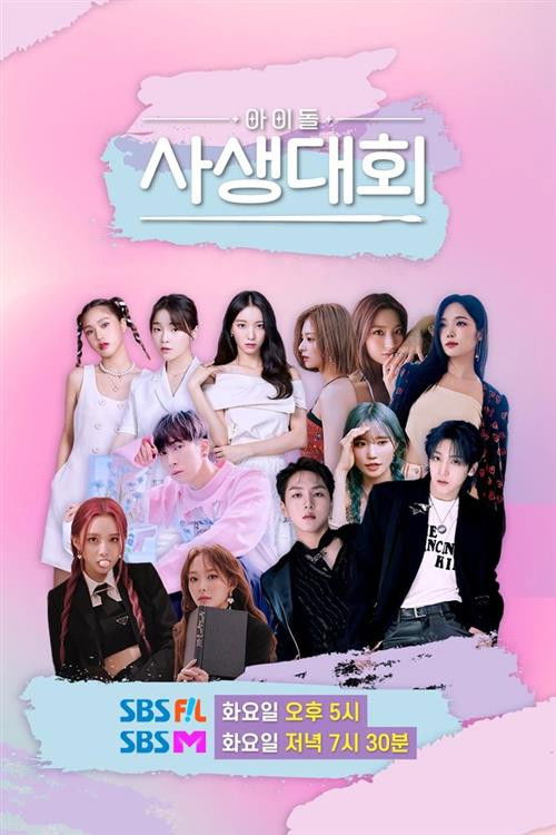 Póster de 아이돌 사생대회