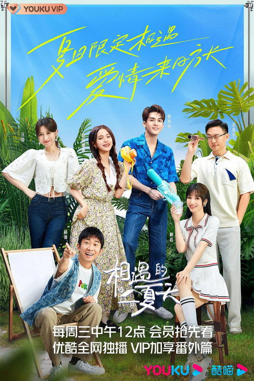 Póster de 相遇的夏天