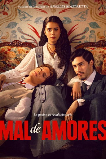 Póster de Mal de Amores
