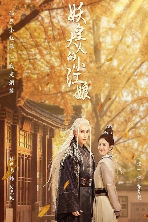 Póster de 妖皇大人的小红娘