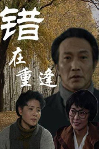 Póster de 错在重逢