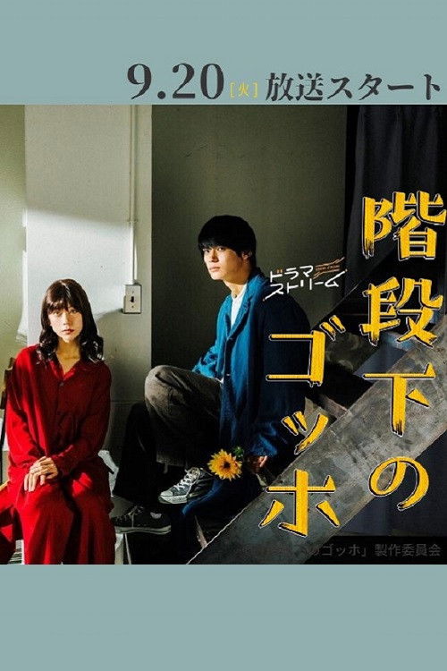 Póster de 階段下のゴッホ