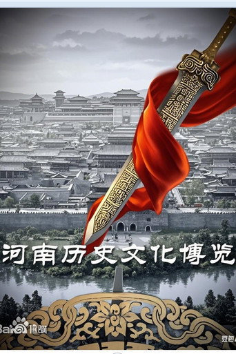Póster de 河南历史文化博览