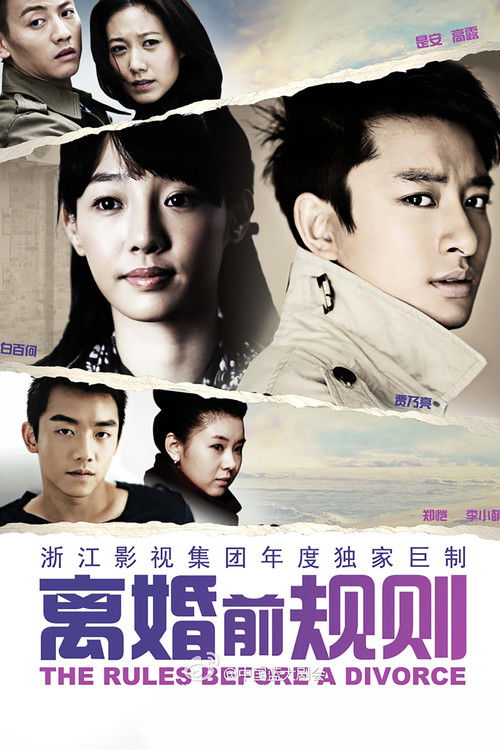 Póster de 离婚前规则