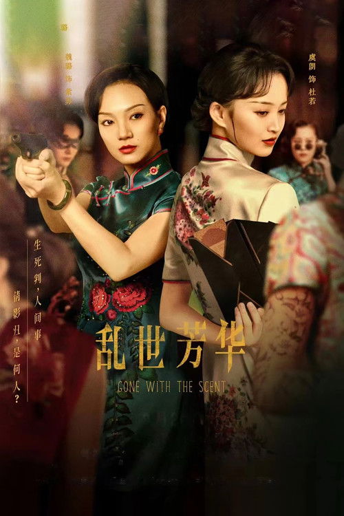 Póster de 乱世芳华