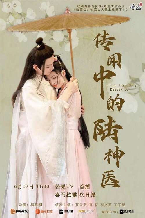 Póster de 传闻中的陆神医