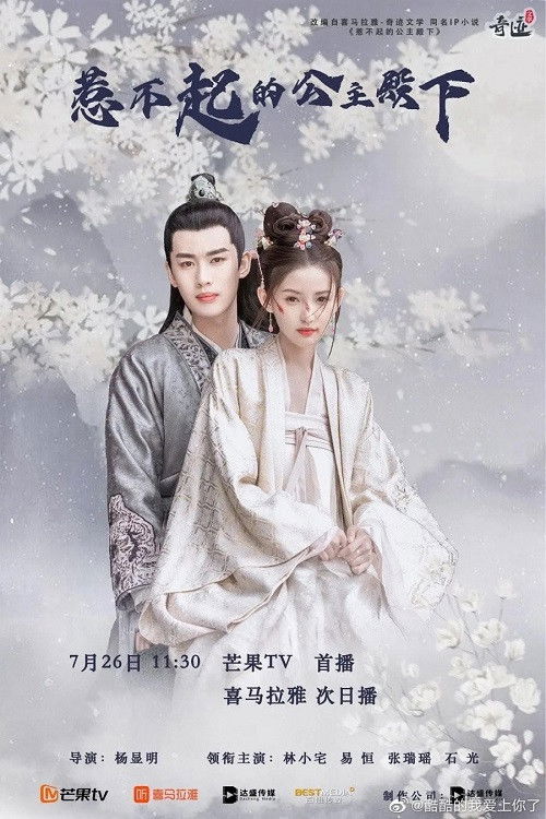 Póster de 惹不起的公主殿下