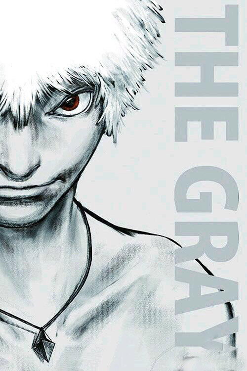 Póster de 灰体