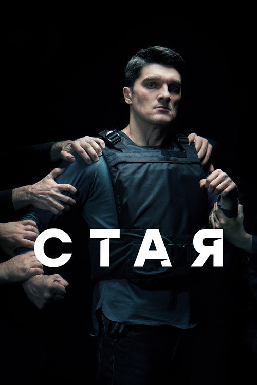 Póster de Стая