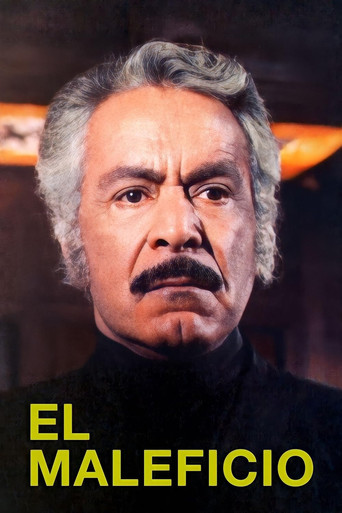 Póster de El Maleficio