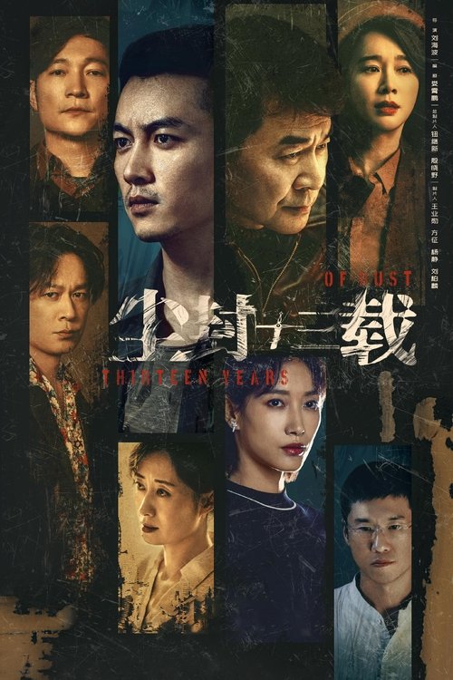 Póster de 尘封十三载