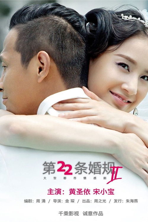 Póster de 第22条婚规2