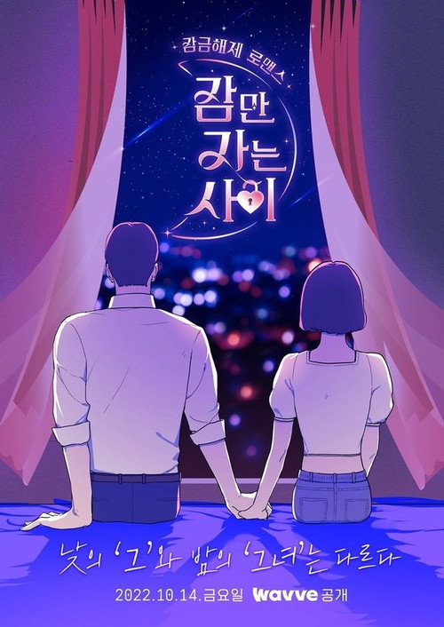 Póster de 잠만 자는 사이
