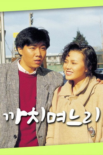 Póster de 까치 며느리