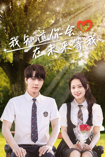 Póster de 我知道你会在未来等我